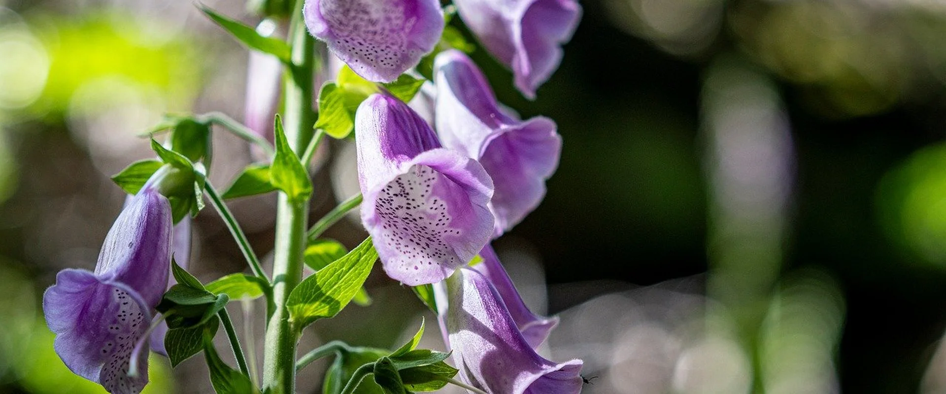 博万体育PG电子